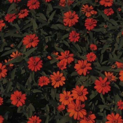 天博体育官网入口手机app下载